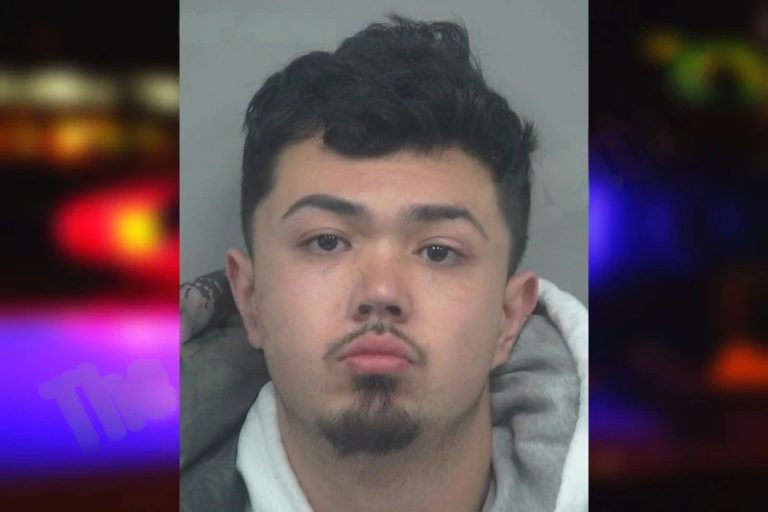 Cameron Nguyen mugshot – Gwinnett County , Georgia Cameron Nguyen