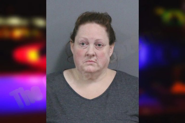 Candace Swink mugshot – Catoosa County , Georgia Candace Swink