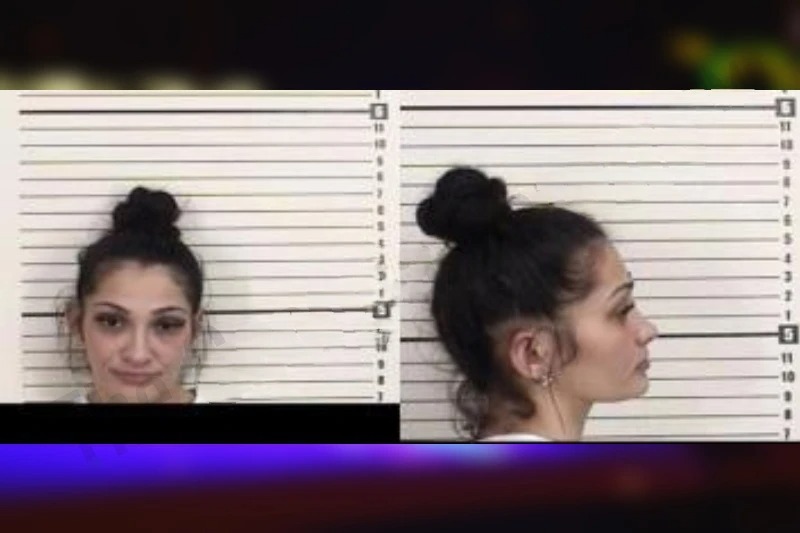 Candice Brewer mugshot