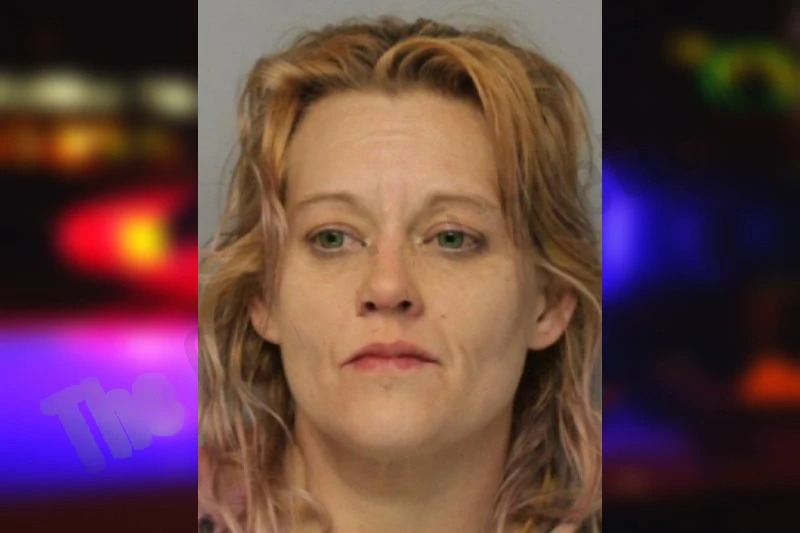 Cari Pitts mugshot – Hall County , Georgia Cari Pitts mugshot