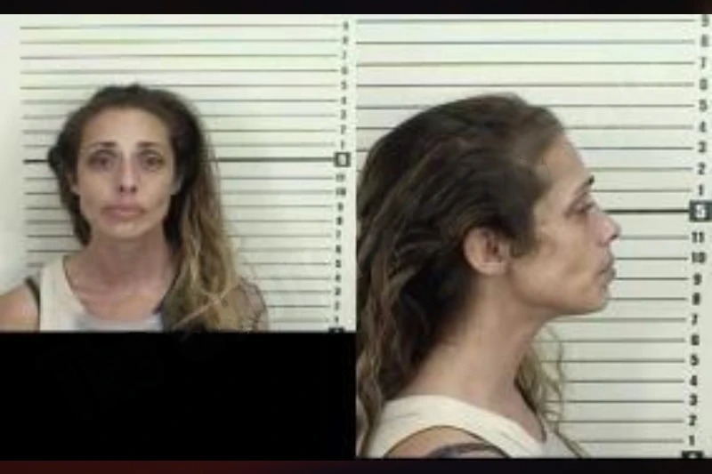 Carol Sullivan mugshot