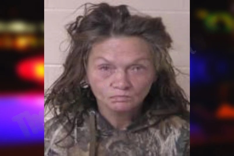 Carolyn Lanham Mugshots