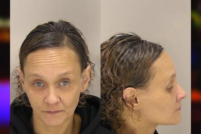 Cassandra Wejko Mugshots