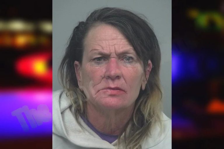 Catherine Amster mugshot – Cobb County , Georgia Catherine Amster