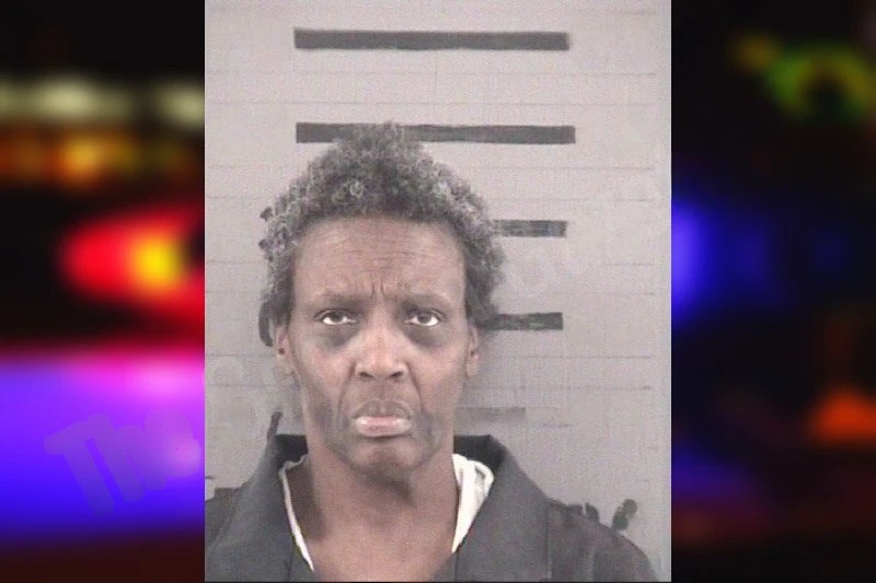 Catherine Haines Mugshots