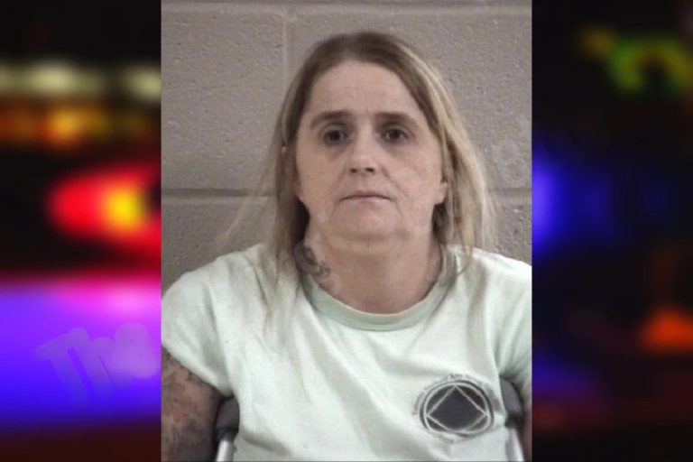 Cathy Mullins mugshot – Whitfield County , Georgia Cathy Mullins