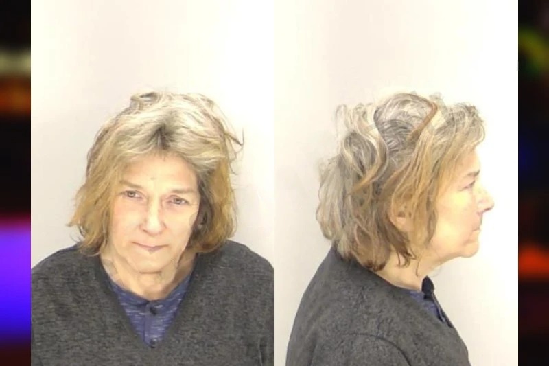 Celeste Shultz mugshot