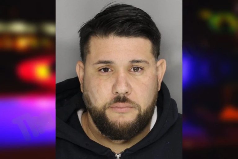 Cesar Meneses mugshot – Cobb County , Georgia Cesar Meneses