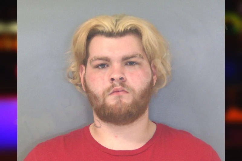 Chaise Dortch mugshot – Douglas County , Georgia Chaise Dortch mugshot