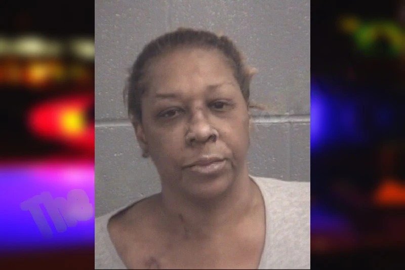 Chanda Norris mugshot