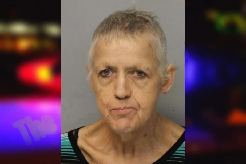 Charlotte Gaydon mugshot – Hall County , Georgia Charlotte Gaydon mugshot