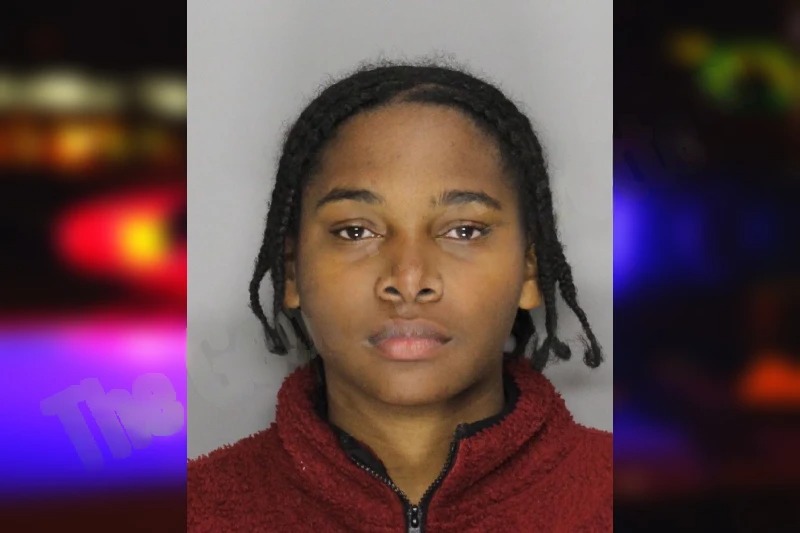 Chastina Simmons Mugshots