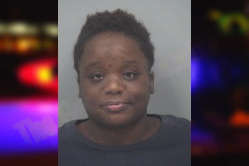 Chastity Lee mugshot – Gwinnett County , Georgia Chastity Lee mugshot