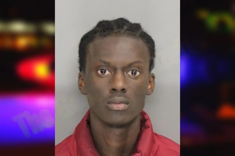 Cheikh Ly mugshot – Cobb County , Georgia Cheikh Ly