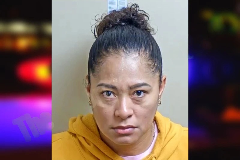 Cheila Ozuna-Palma mugshot – Gwinnett County , Georgia Cheila Ozuna-Palma mugshot