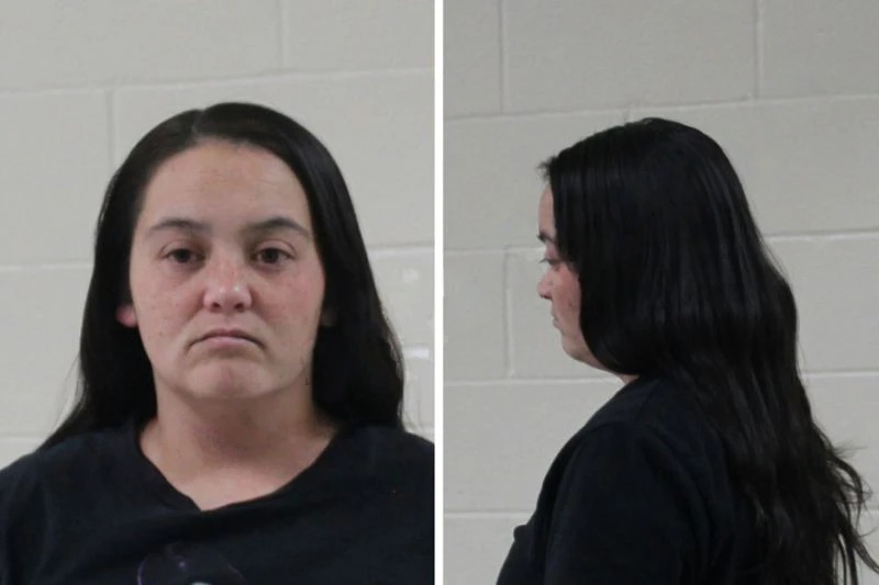 Chelsea Dow Mugshots