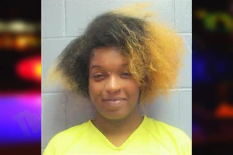 Chelsea Wiggins mugshot – Lee County , Georgia Chelsea Wiggins