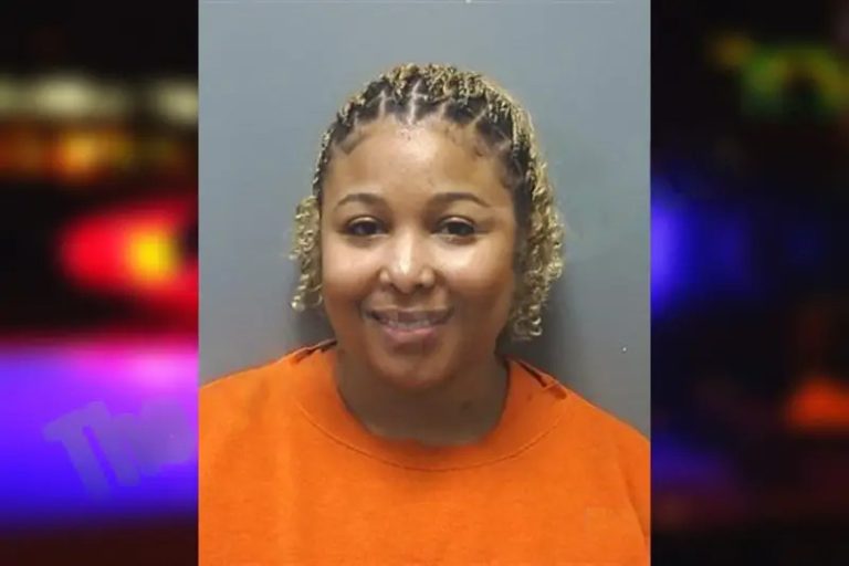 Chelsea Winfrey mugshot – Cherokee County , Georgia Chelsea Winfrey