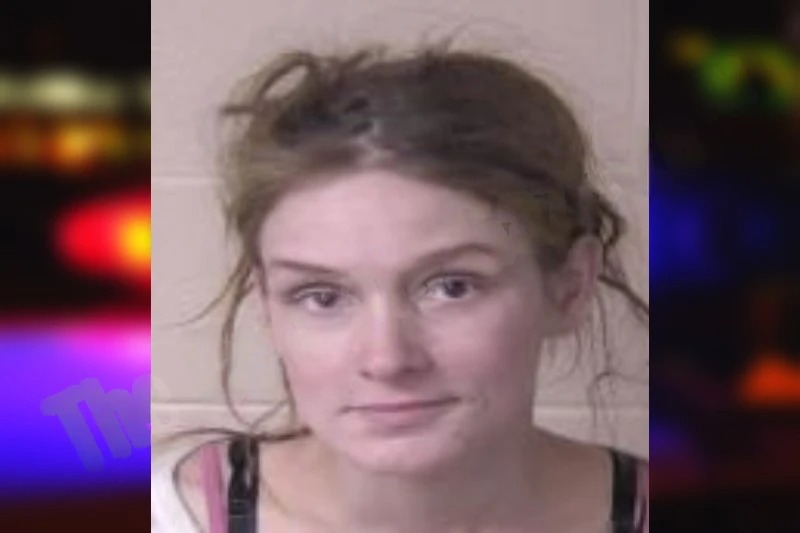 Chelsie Wilkey mugshot – Walker County , Georgia Chelsie Wilkey mugshot