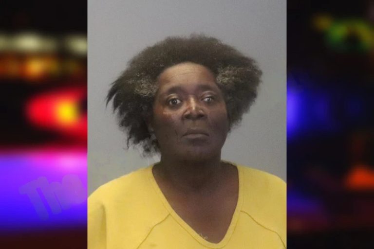 Cheryl Baker mugshot – Muscogee County , Georgia Cheryl Baker