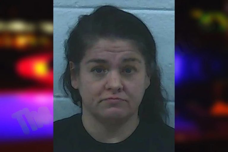 Cheryl Shook Burch mugshot – Jackson County , Georgia Cheryl Shook Burch