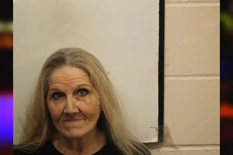 Cheryl Stringer mugshot – Chatham County , Georgia Cheryl Stringer mugshot