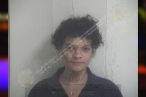 Christiana Hunter Mugshots
