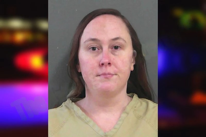 Christina Chambers mugshot – Gordon County , Georgia Christina Chambers mugshot