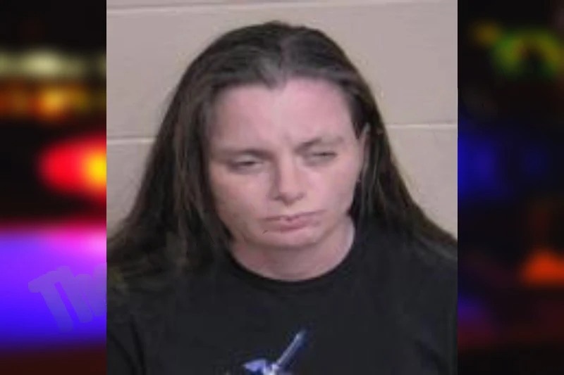 Christina Davidson Mugshots