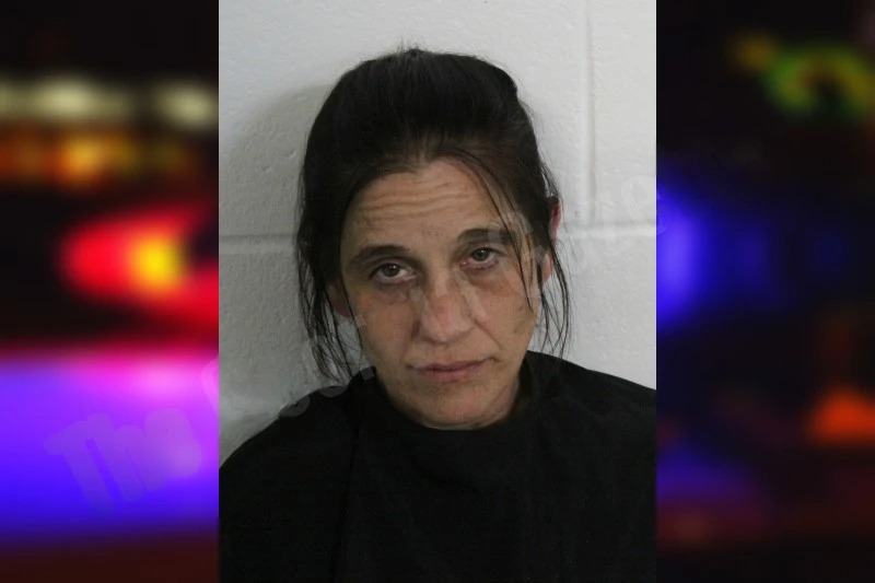 Christina Haynes mugshot – Floyd County , Georgia Christina Haynes mugshot