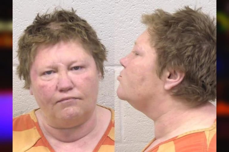 Christina Whitehill mugshot – Paulding County , Georgia Christina Whitehill