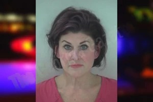 Christine Fenton Mugshots