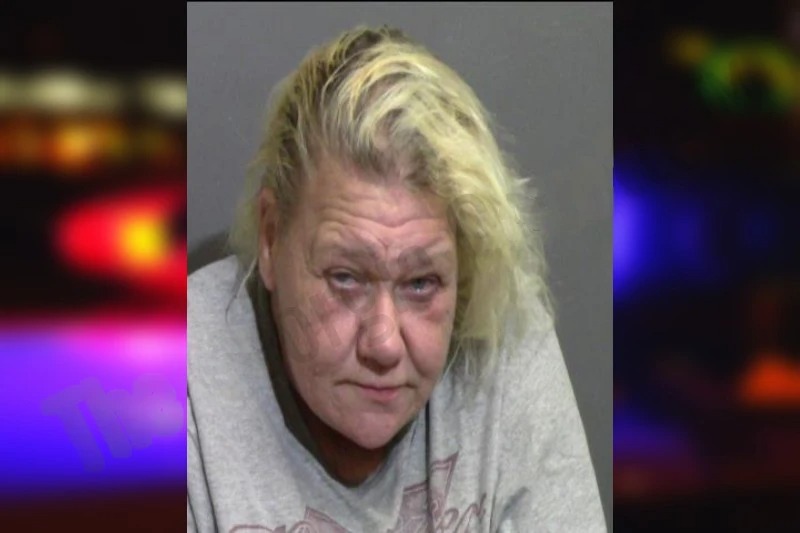 Christine Jones Mugshots