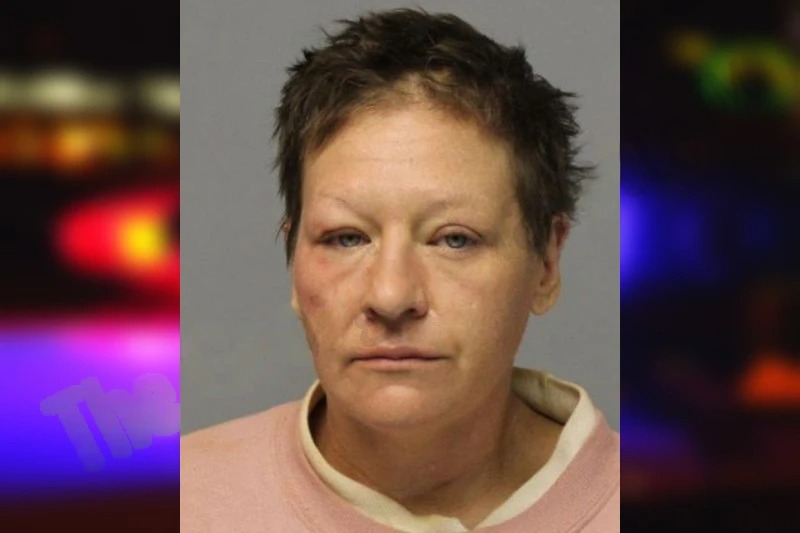 Christine Kraizel mugshot – Hall County , Georgia Christine Kraizel mugshot