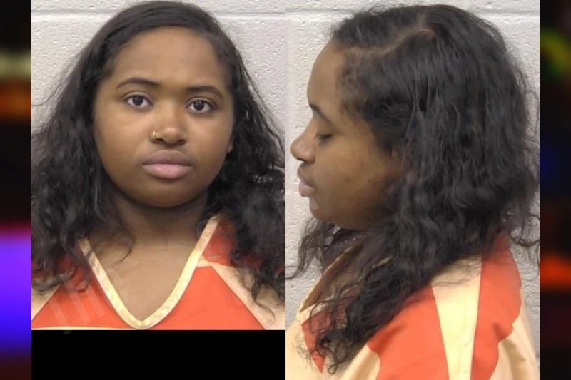 Chyna Ellison mugshot