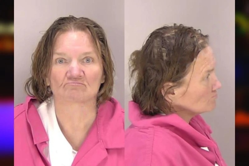Cindy Reese mugshot