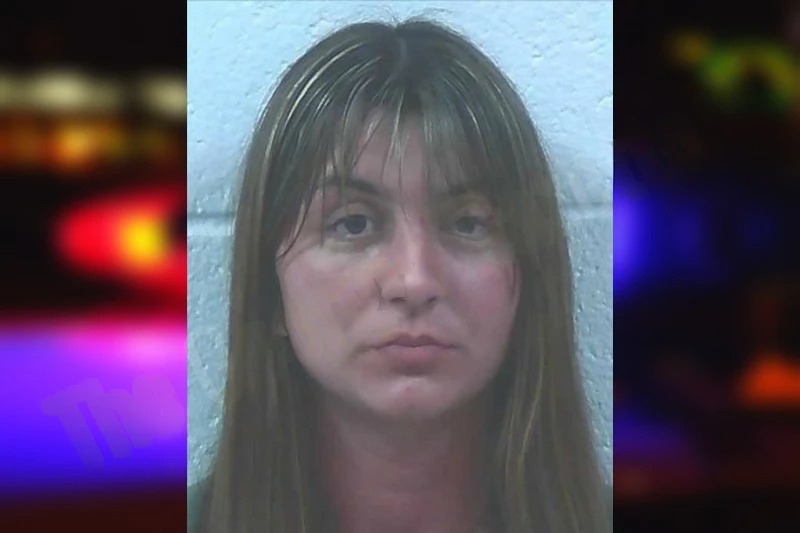 Courtney Holcombe mugshot