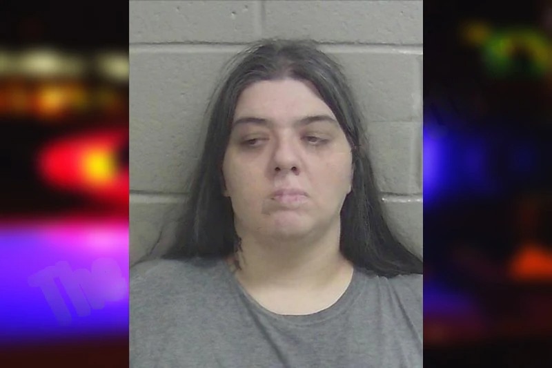 Crystal Boyd mugshot – Wayne County , Georgia Crystal Boyd mugshot