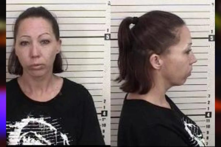 Crystal Tanner mugshot – Camden County , Georgia Crystal Tanner