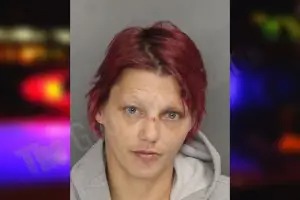 Crystal West mugshot – Cobb County , Georgia Crystal West mugshot