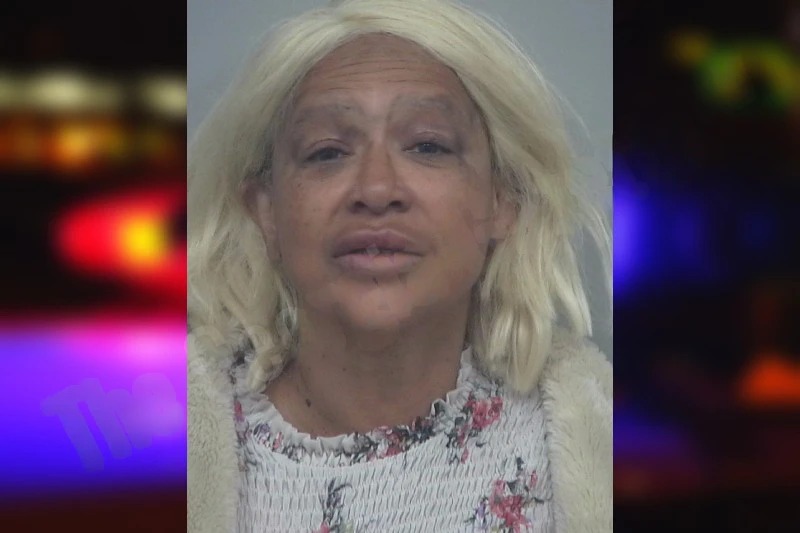 Cynthia Berry Mugshots