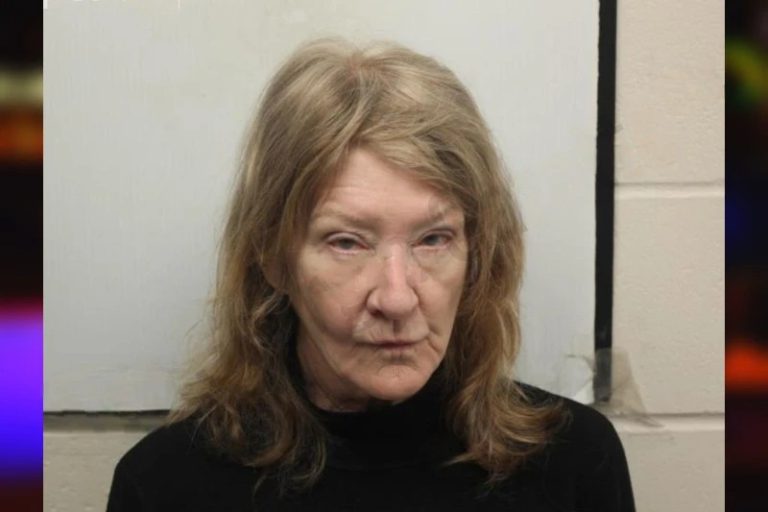 Cynthia Bogan-Jones mugshot – Chatham County , Georgia Cynthia Bogan-Jones