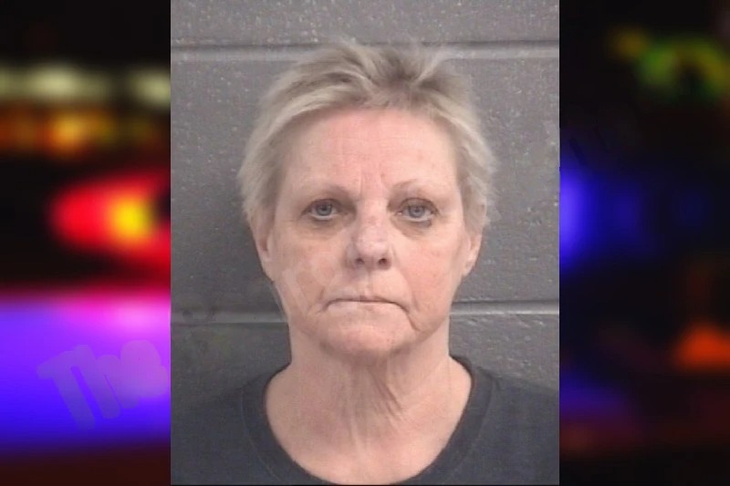 Cynthia Hoffman Mugshots