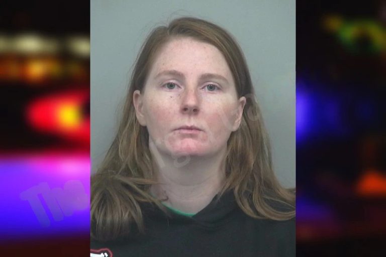 Cynthia Ivester mugshot – Gwinnett County , Georgia Cynthia Ivester