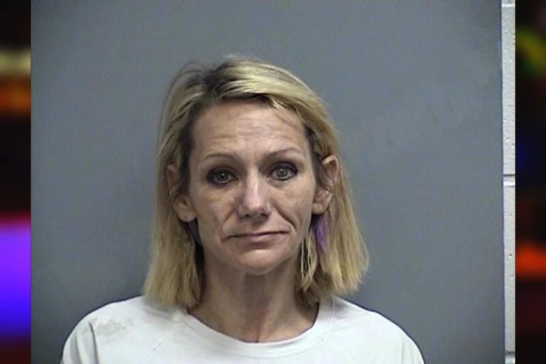 Cynthia Tillman mugshot – Effingham County , Georgia Cynthia Tillman