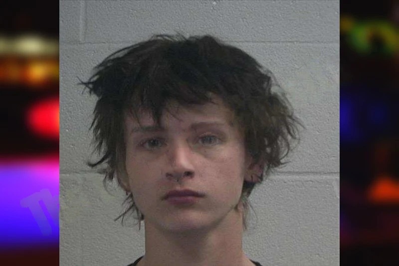 Dalstin Mattox Mugshots