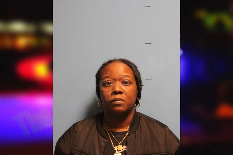 Danelle Williams Mugshots