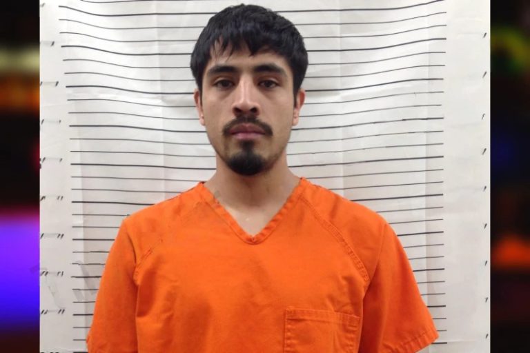 Daniel Silva Torres mugshot – Pickens County , Georgia Daniel Silva Torres