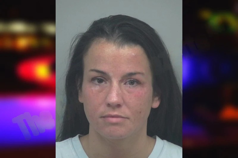 Danielle Gilliland mugshot