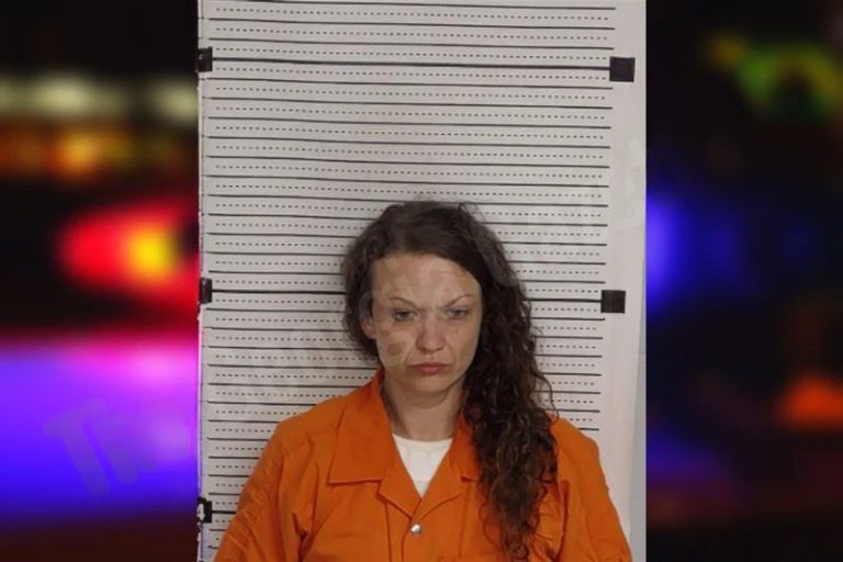 Danielle Shelton mugshot – Rockdale County , Georgia Danielle Shelton